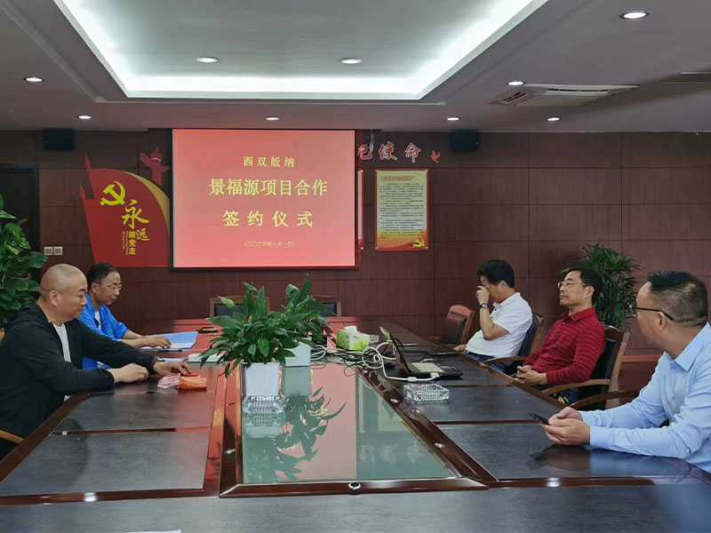 西雙版納 景福源項目